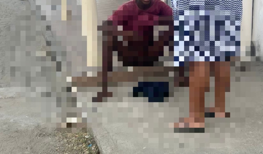 Adolescente é mordido no pênis por pitbull ao tentar pular muro em Santaluz; família contesta