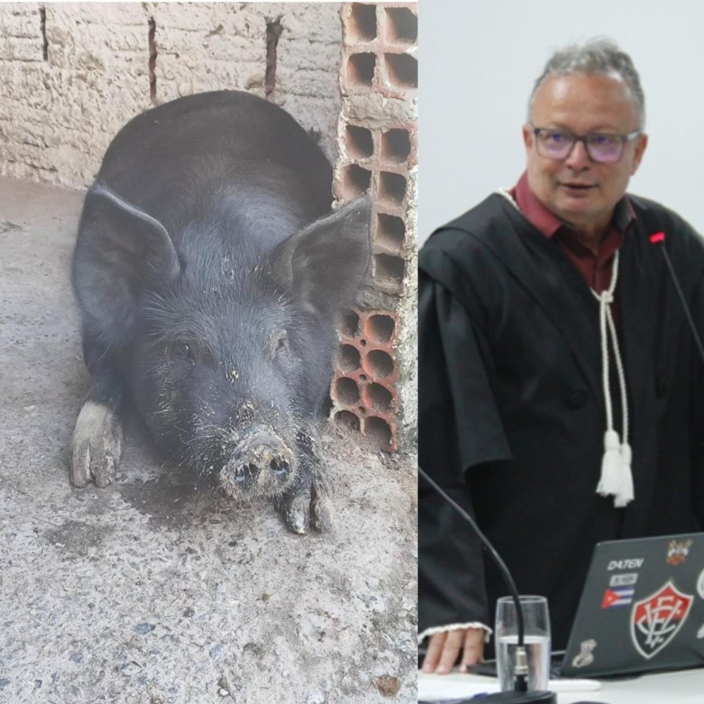 Foto: Reprodução