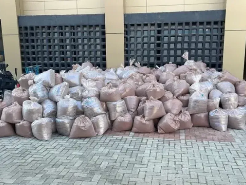 PF incinera cerca de oito toneladas de pó da “jurema negra” apreendido em Coité
