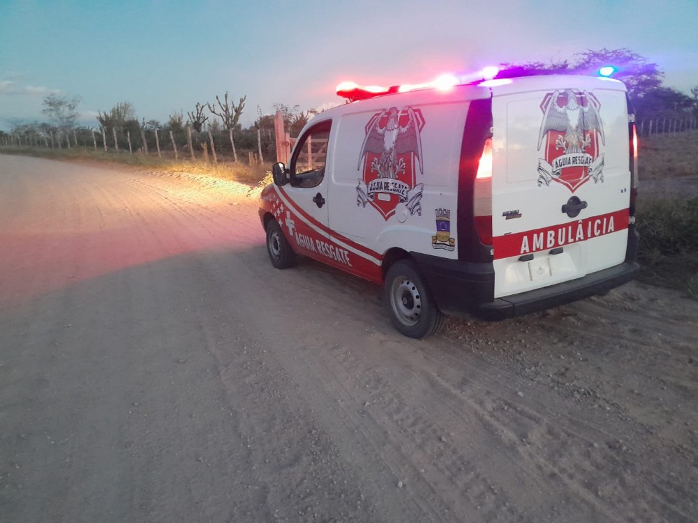 Jovem fica ferido após cair de cavalo em Conceição do Coité