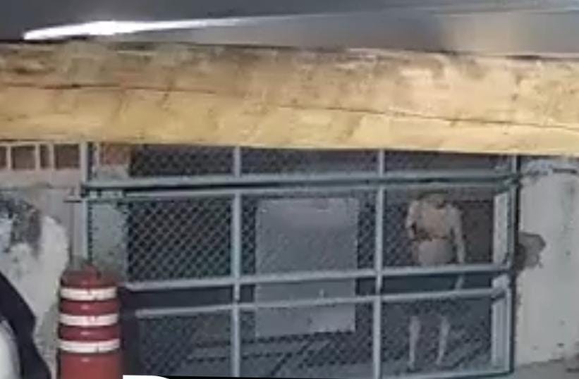 Vídeo: Advogado de 85 anos tem suposto surto, tenta invadir base do Águia Resgate e ameaça socorristas com revólver em Conceição do Coité