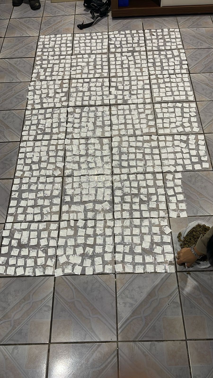PM apreende quase mil papelotes de cocaína e detém dois suspeitos em Monte Santo