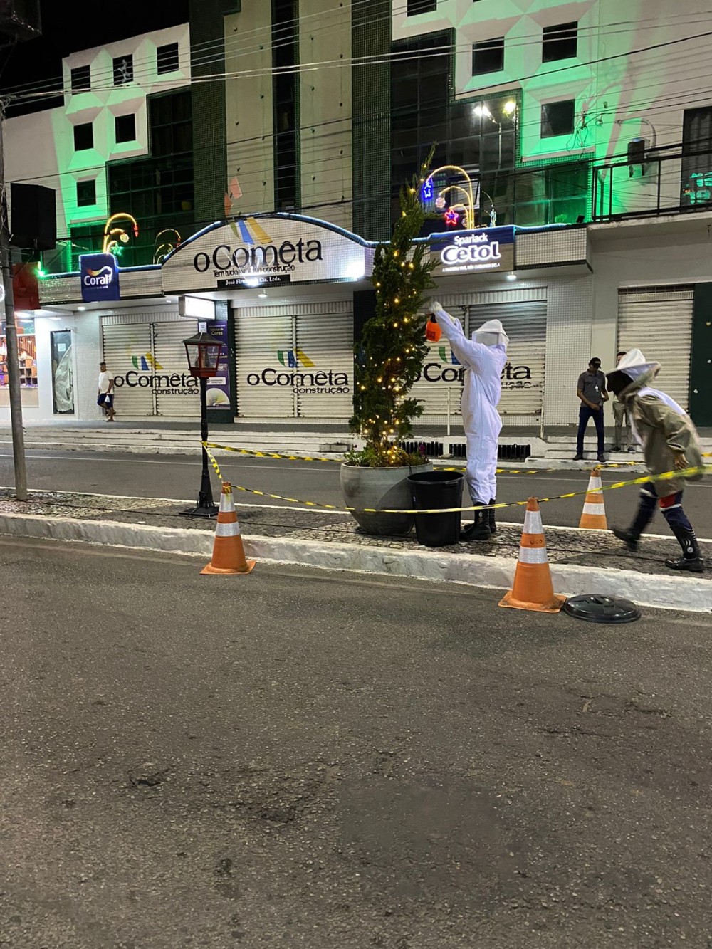 Departamento de Meio Ambiente aciona Águia Resgate e enxame de abelhas é retirado de decoração de Natal em Conceição do Coité
