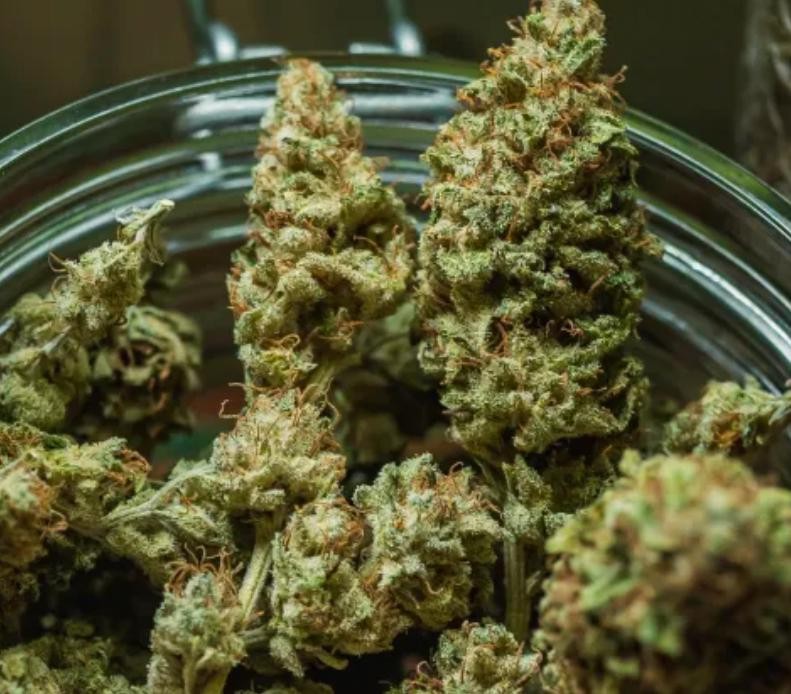 Morador de Valente é detido em Retirolândia após ser flagrado com porções de maconha
