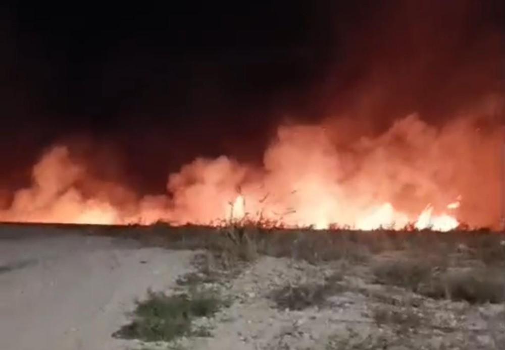 VÍDEO: Suposto incêndio criminoso mobiliza Guarda Municipal e equipe da Infraestrutura em Conceição do Coité