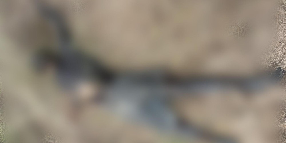 Corpo em avançado estado de decomposição é encontrado na zona rural de Conceição do Coité