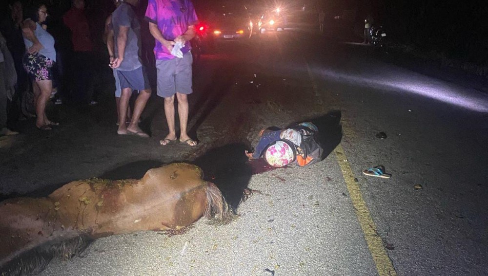 Motociclista morre após colidir com cavalo solto em pista na BA-411 (Conceição do Coité X Salgadália)