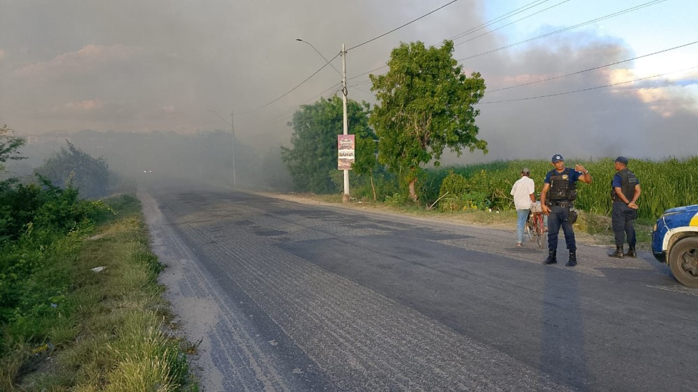 Incêndio atinge vegetação e fumaça atrapalha visão de motoristas em Conceição do Coité; GCM sinalizou local