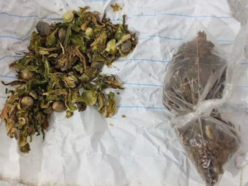 Suspeito de tráfico é preso após tentar fugir de abordagem em Conceição do Coité
