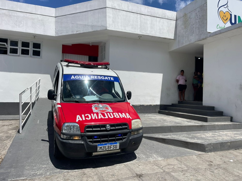Oito crianças são atacadas por abelhas em escola de Conceição do Coité